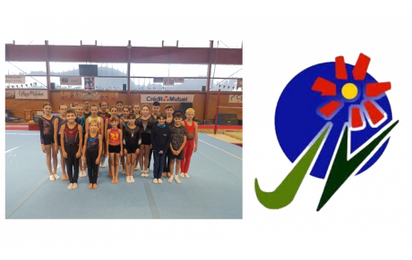 Section sportive